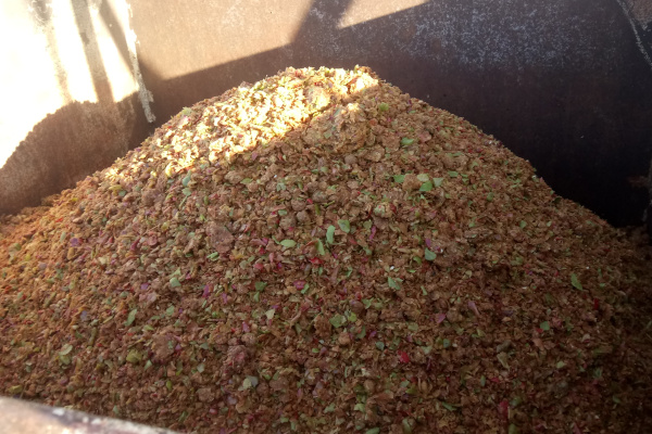 7 – The apple pomace