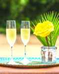 Aperitif with Crémant of Alsace lemon juice and ginger juice