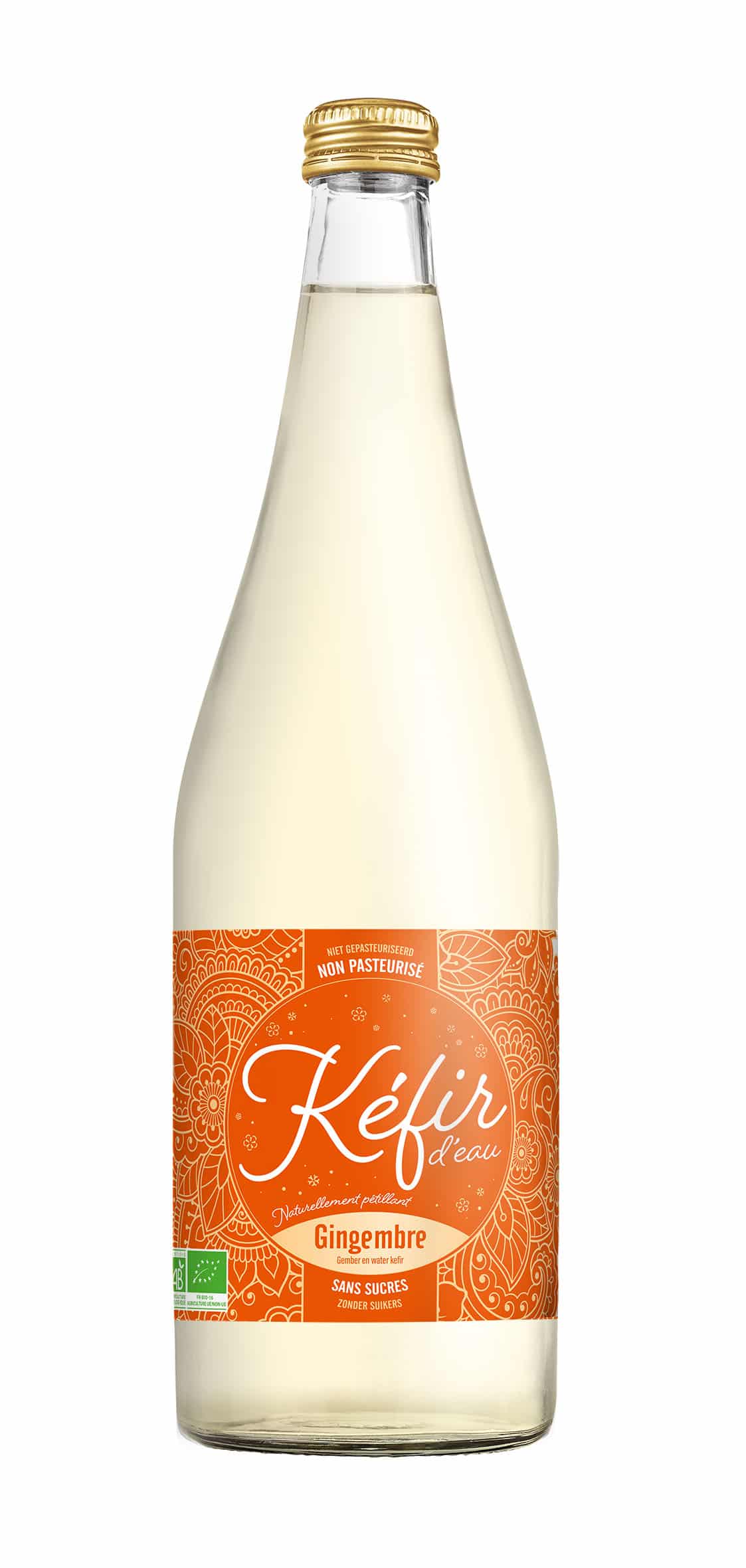 bouteille kefir gingembre