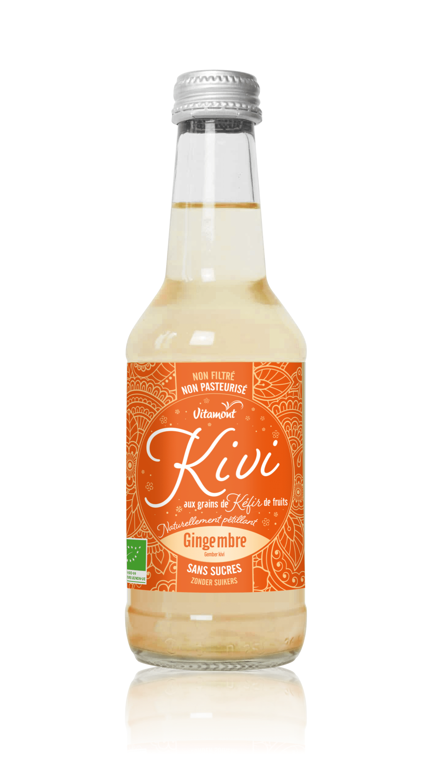 KIVI AUX GRAINS DE KÉFIR – GINGEMBRE